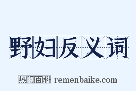 野妇反义词是什么意思的图片